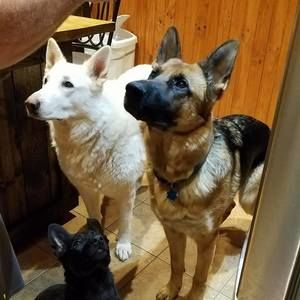 Meet your Posher, Jill